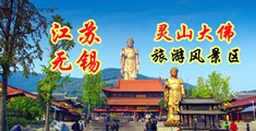 无遮挡操逼黄片免费视频江苏无锡灵山大佛旅游风景区
